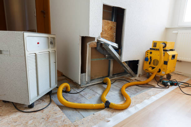 Mold Removal for HVAC Installations in Fullerton, CA